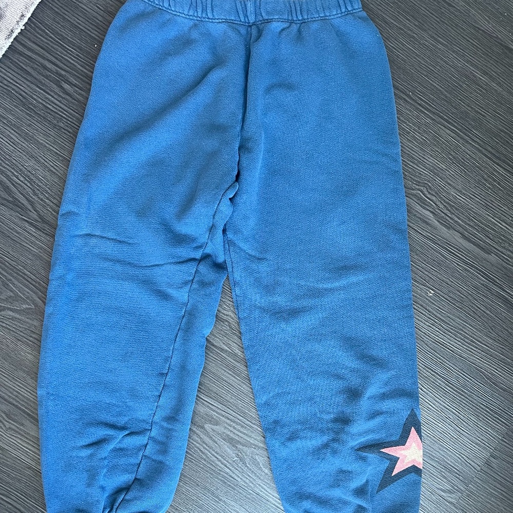 Wildfox Sweatpants